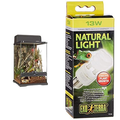 Exo Terra Terrarium aus Glas, im Azteken Design, mit einzigartiger Front Belüftung, 30 x 30 x 45cm & Natural Light, Vollspektrum-Tageslichtlampe,13W, Fassung E27 von Exo Terra