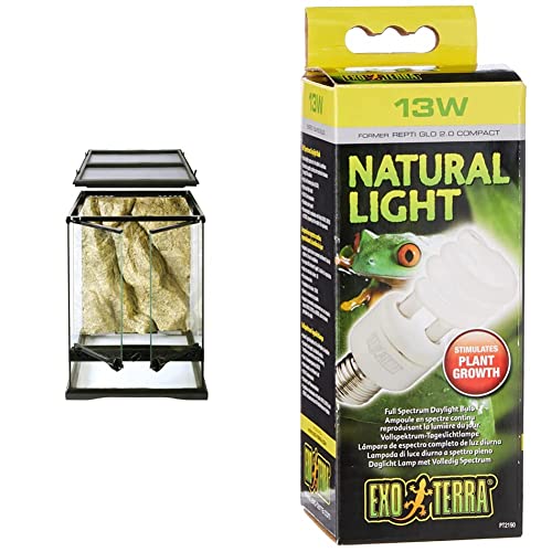 Exo Terra Terrarium aus Glas, mit einzigartiger Front Belüftung, 30 x 30 x 45cm & Natural Light, Vollspektrum-Tageslichtlampe, 13W, Fassung E27 von Exo Terra