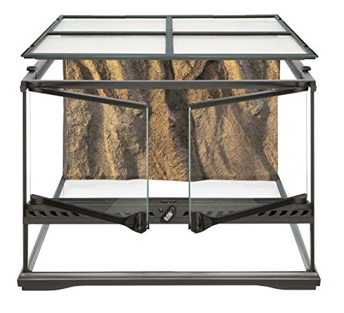 Exo Terra Terrarium aus Glas, mit einzigartiger Front Belüftung, 45 x 45 x 30cm von Exo Terra