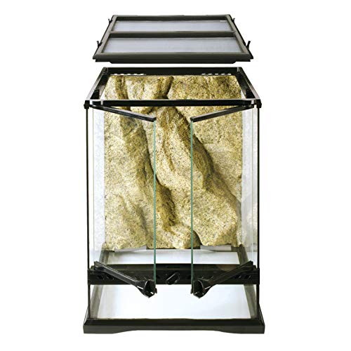 Exo Terra Terrarium aus Glas, mit einzigartiger Front Belüftung, 30 x 30 x 45cm von Exo Terra