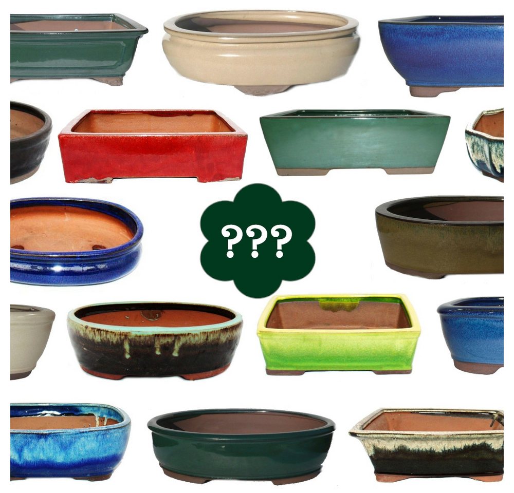 Exotenherz Pflanzschale Bonsai-Schale Größe 3 SONDERPOSTEN Zufallsform/Farbe L ca. 20cm von Exotenherz