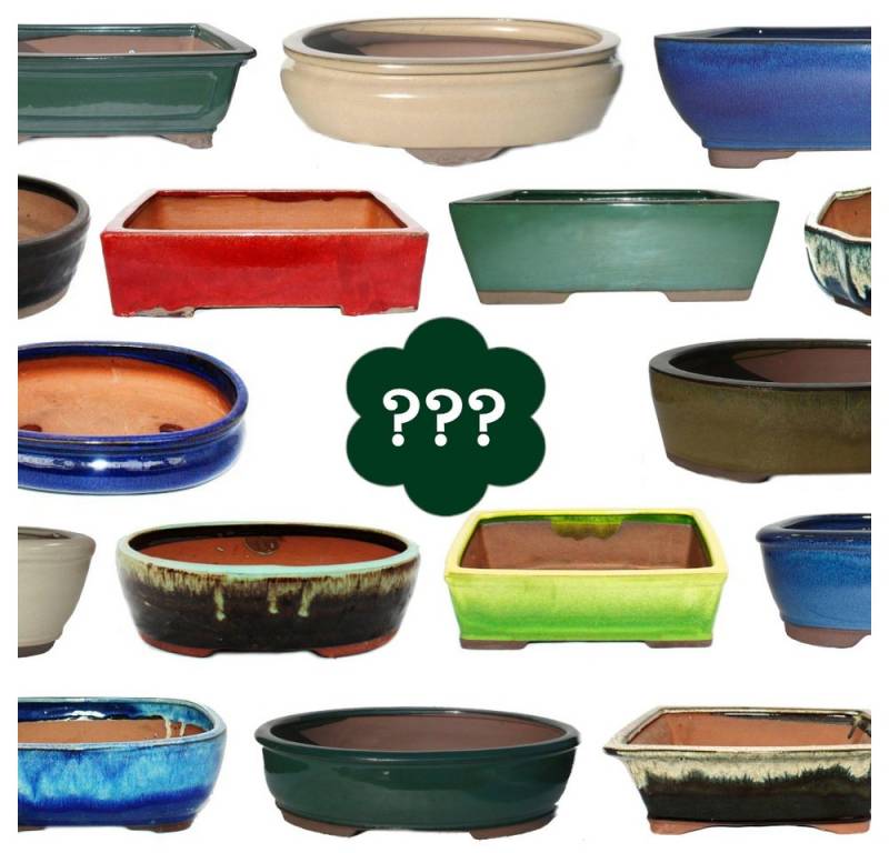 Exotenherz Pflanzschale Bonsai-Schale Größe 3 SONDERPOSTEN Zufallsform/Farbe L ca. 20cm von Exotenherz