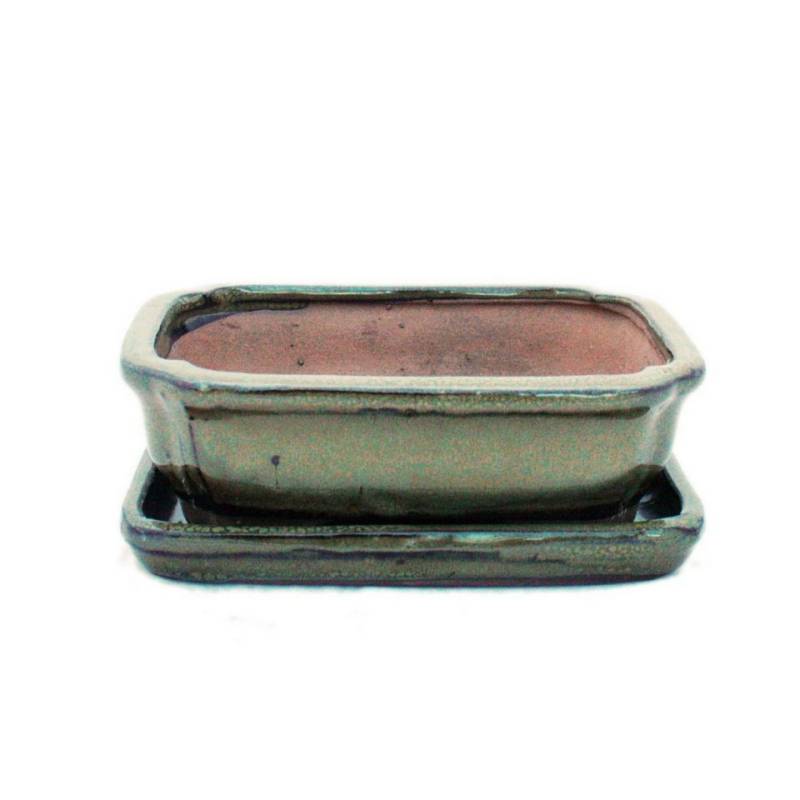 Exotenherz Pflanzschale Bonsai-Schale Unterteller Gr. 2 Oliv-Braun eckig Modell G12 L 15,5cm von Exotenherz