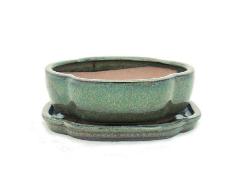 Exotenherz Pflanzschale Bonsai-Schale Unterteller Gr. 2 Olive-Braun haitang/oval I5 L 14,5cm von Exotenherz