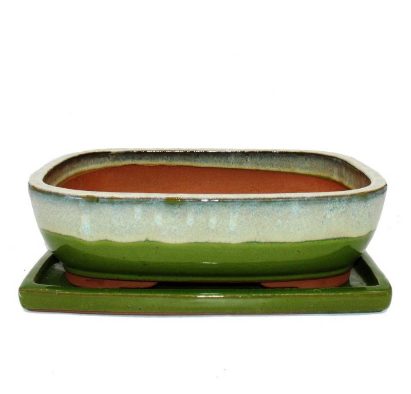 Exotenherz Pflanzschale Bonsai-Schale Unterteller Gr.6 Grün-Beige rechteckig Modell GB5 L 37cm Exotenherz Pflanzschale Bonsai-Schale Unterteller Gr.6 Grün-Beige rechteckig Modell GB5 L 37cm von Exotenherz