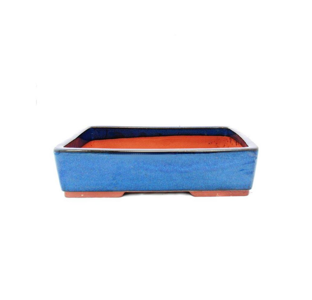 Exotenherz Pflanzschale Bonsai-Schale XL rechteckig G30 - blau - L36,5cm x B28cm x H9,5cm Exotenherz Pflanzschale Bonsai-Schale XL rechteckig G30 - blau - L36,5cm x B28cm x H9,5cm von Exotenherz