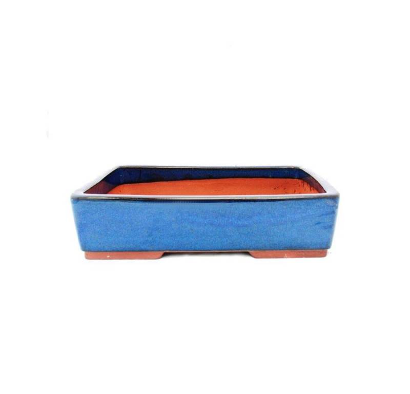 Exotenherz Pflanzschale Bonsai-Schale XL rechteckig G30 - blau - L36,5cm x B28cm x H9,5cm von Exotenherz
