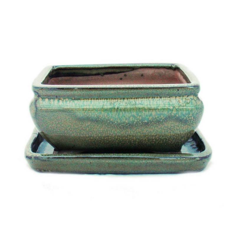 Exotenherz Pflanzschale Bonsai-Schale mit Unterteller Gr. 2 Grün eckig Modell G81 L 14,5cm Exotenherz Pflanzschale Bonsai-Schale mit Unterteller Gr. 2 Grün eckig Modell G81 L 14,5cm von Exotenherz