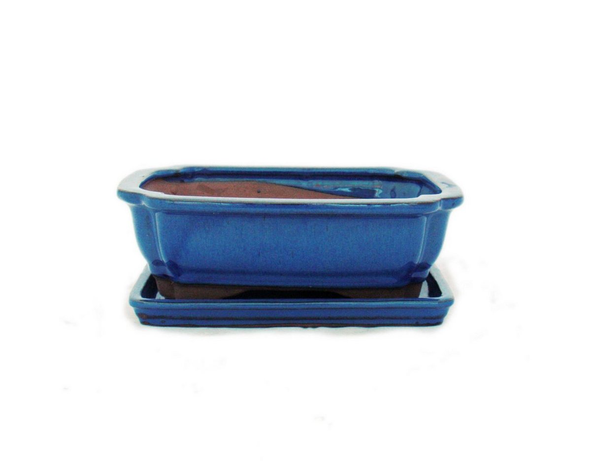 Exotenherz Pflanzschale Bonsai-Schale mit Unterteller Gr. 3 - Blau eckig Modell G12 - L 18cm Exotenherz Pflanzschale Bonsai-Schale mit Unterteller Gr. 3 - Blau eckig Modell G12 - L 18cm von Exotenherz