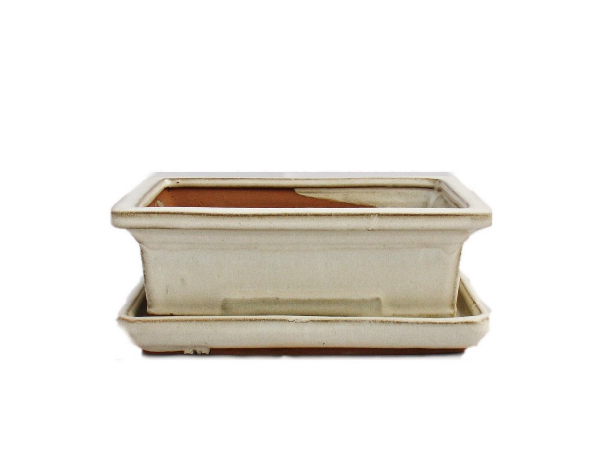Exotenherz Pflanzschale Bonsai-Schale mit Unterteller Gr. 3 hellbeige eckig Modell G29 L 18cm von Exotenherz