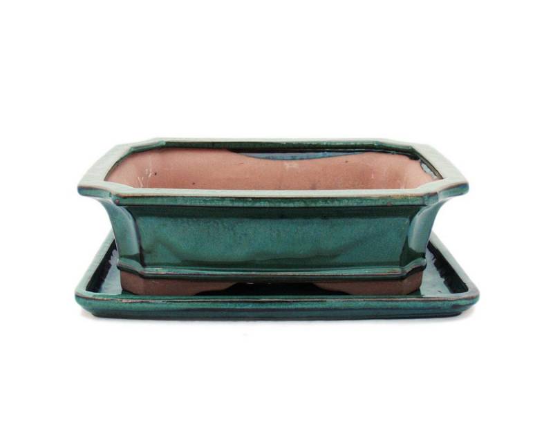 Exotenherz Pflanzschale Bonsai-Schale mit Unterteller Gr. 4 - Grün eckig - Modell G4 - L 26cm Exotenherz Pflanzschale Bonsai-Schale mit Unterteller Gr. 4 - Grün eckig - Modell G4 - L 26cm von Exotenherz
