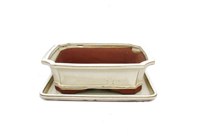 Exotenherz Pflanzschale Bonsai-Schale mit Unterteller Gr. 4 hellbeige eckig Modell G4 - L 26cm von Exotenherz