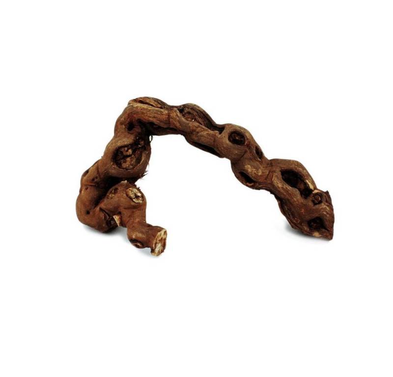 Exotenherz Zimmerpflanze Rebholz 18-20 cm von Exotenherz