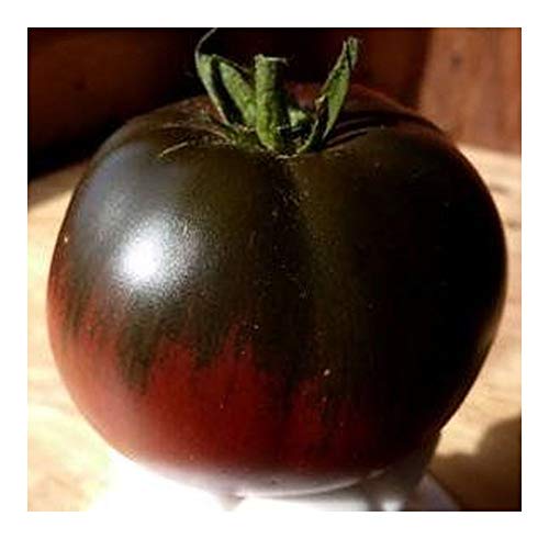 Tomate Black Sea Man - schwarz-rote Fleischtomate - 10 Samen von Exotic Plants