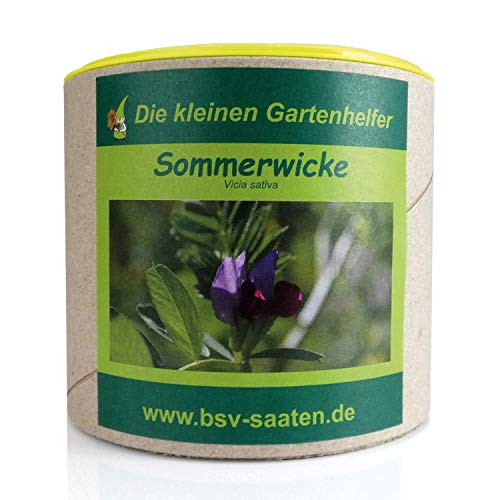 Keimsamen Sommerwicke 300g I Samen zur Bodenverbesserung und Unkrautvermeidung I Saatgut für schnellwachsende einjährige Pflanze I Für 30m² von Expona