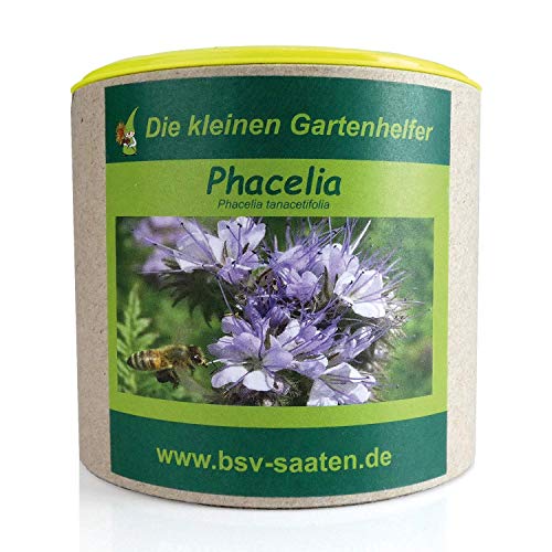 Keimsamen Phacelia 150g I Samen zur Bodenverbesserung und Unkrautvermeidung I Ideal als Bienenweide I Zertifiziertes Saatgut für 100 m² von Expona