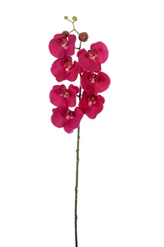 Express Flor 1 Stück künstliche Orchidee, 70 cm, Alpenveilchen (1 Stück) von Express Flor