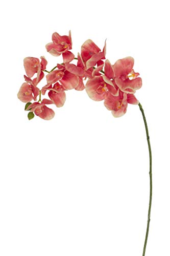 Express Flor 1 Stück, künstliche Orchidee, 94 cm, Rosa von Express Flor