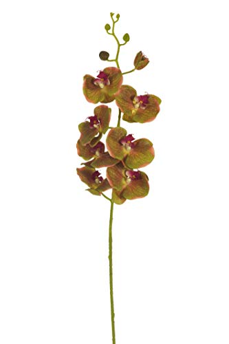 Express Flor 12 künstliche Orchideen, 103 cm, Senf von Express Flor