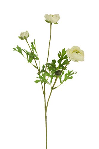 Express Flor 3 künstliche Seidenknöpfe, 3 Knospen, 52 cm, cremefarben von Express Flor