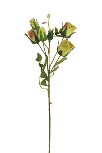 Express Flor 3 künstliche Rosen aus Seide, 6 Rosen pro Zweig, 46 cm, Grün von Express Flor