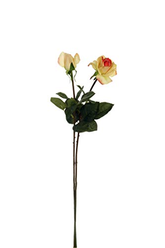 Express Flor Set künstliche Rosen und Rosenknospen, Pfirsichfarben, 2 Stück von Express Flor