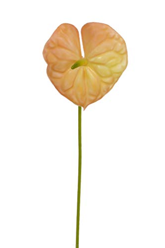Express Flor 6 künstliche Anthuriuns, 58 cm, Rosa von Express Flor