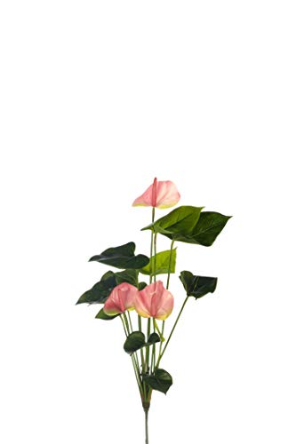 Express Flor Künstliche Anthurium mit 3 Blumen, 66 cm von Express Flor