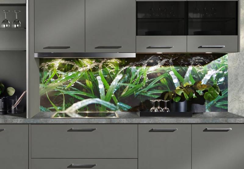 Express Küchen Küchenrückwand "Regenwald", als Spritzschutz geeignet, mit Schutzlack versehen, (1-tlg), in verschiedenen Breiten von Express Küchen