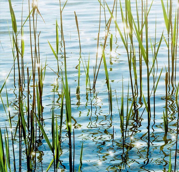 Express Küchen Küchenrückwand Seegras, (1-tlg) von Express Küchen