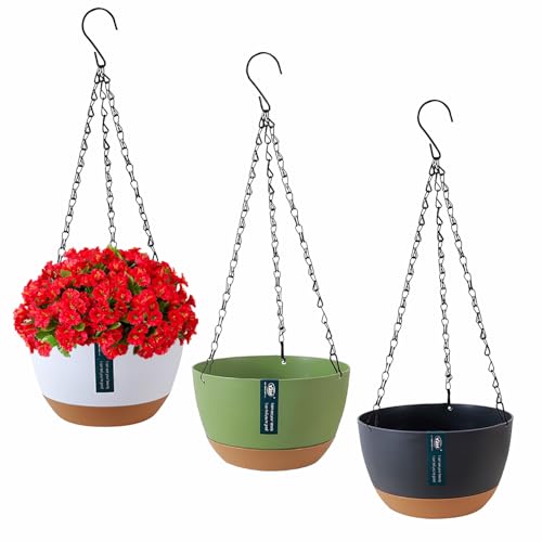 Exquilnova 3 Stück Blumentopf Hängend Blumenampel für Innen Außen, Hängetopf für Pflanzen mit Drainagelöchern und Abnehmbarem Untersetzer, Hängeampel Blumentöpfe zum Aufhängen (Mehrfarben) von Exquilnova