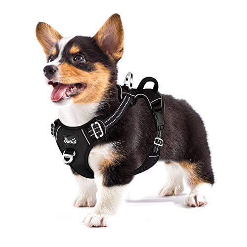 Eyein Hundegeschirr für Mittelgroßer Hunde, verstellbares atmungsaktives reflektierend, gepolstert und atmungsaktiv Brustgeschirr mit Griff und Frontbügel für tägliches Training (Schwarz, M) Eyein Hundegeschirr für Mittelgroßer Hunde, verstellbares atmungsaktives reflektierend, gepolstert und atmungsaktiv Brustgeschirr mit Griff und Frontbügel für tägliches Training (Schwarz, M) von Eyein
