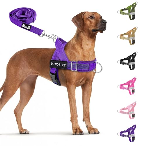 Eyein Hundegeschirr mit Leine für große mittelgroße Hunde, Weich gepolsterter Brustgeschirr mit 2 Leinenclips, Reflektierend & Leichtgewicht Anti Zug Geschirr für Spaziergänge Training, Lila, L von Eyein