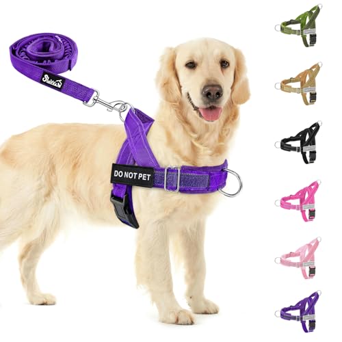 Eyein Hundegeschirr mit Leine für große mittelgroße Hunde, Weich gepolsterter Brustgeschirr mit 2 Leinenclips, Reflektierend & Leichtgewicht Anti Zug Geschirr für Spaziergänge Training, Lila, XL von Eyein