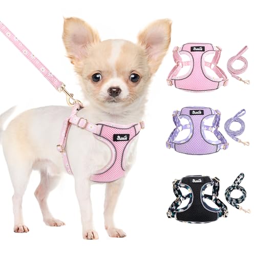 Eyein Hundegeschirr Kleine Hunde mit Leine, Atmungsaktiv Air Mesh Brustgeschirrmit reflektierenden Streifen, Verstellbarer Step-in Geschirr für extra kleine/kleine mittelgroße Hunde, Rosa, M von Eyein