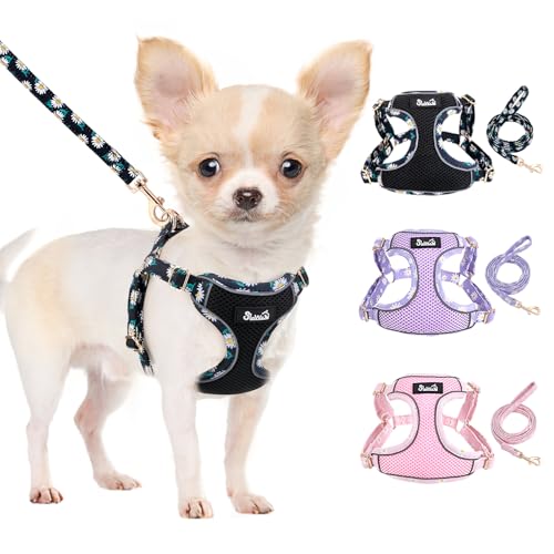 Eyein Hundegeschirr Kleine Hunde mit Leine, Atmungsaktiv Air Mesh Brustgeschirrmit reflektierenden Streifen, Verstellbarer Step-in Geschirr für extra kleine/kleine mittelgroße Hunde, Schwarz, S von Eyein