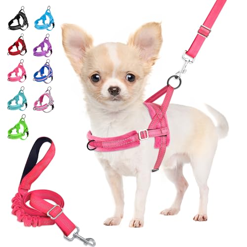 Eyein Hundegeschirr mit Leine für mittelgroße Kleine Hunde, Weich gepolsterter No-Pull Brustgeschirr mit 2 Leinenclips, Leichtgewicht Reflektierend Geschirr Hals und Brust verstellbar (Rosa, M) von Eyein