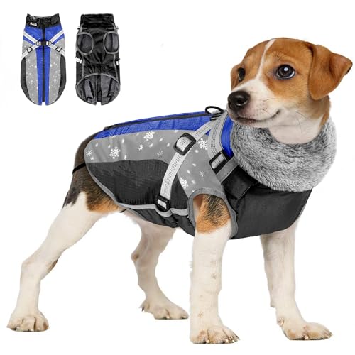 Eyein Hundemantel Winter, Wasserdichter Fleece Hundemantel mit Geschirr für kleine, mittlere und große Hunde, reflektierende verstellbare Welpenweste für Spaziergänge im Freien (Blau, M) von Eyein