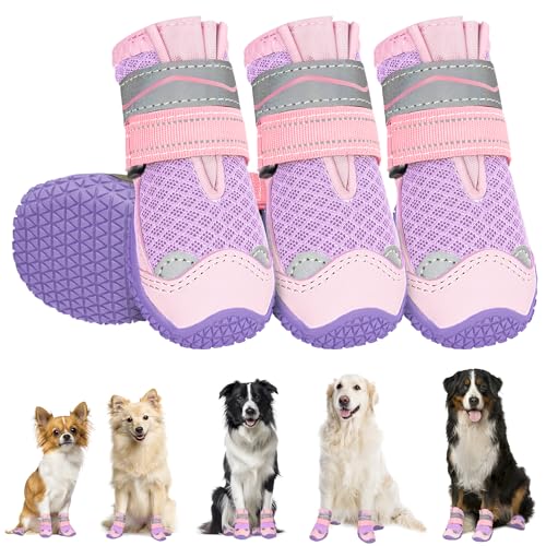 Eyein Hundeschuhe Pfotenschutz, 4 Stück atmungsaktiv Hundeschuhe mit Rutschfester Sohle und reflektierendem Klettverschluss für kleine, mittlere und große Hunde, Sport im Freien, Lila, Größe 7 Eyein Hundeschuhe Pfotenschutz, 4 Stück atmungsaktiv Hundeschuhe mit Rutschfester Sohle und reflektierendem Klettverschluss für kleine, mittlere und große Hunde, Sport im Freien, Lila, Größe 7 von Eyein