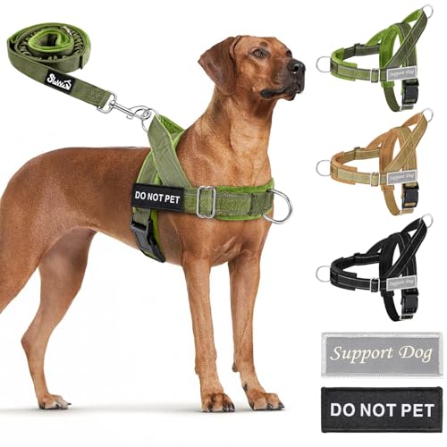 Eyein Hundegeschirr mit Leine für große mittelgroße Hunde, Weich gepolsterter Brustgeschirr mit 2 Leinenclips, Reflektierend & Leichtgewicht Anti Zug Geschirr für Spaziergänge Training, Grün, L von Eyein