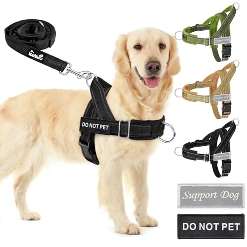 Eyein Hundegeschirr mit Leine für große mittelgroße Hunde, Weich gepolsterter Brustgeschirr mit 2 Leinenclips, Reflektierend & Leichtgewicht Anti Zug Geschirr für Spaziergänge Training, Schwarz, XL von Eyein