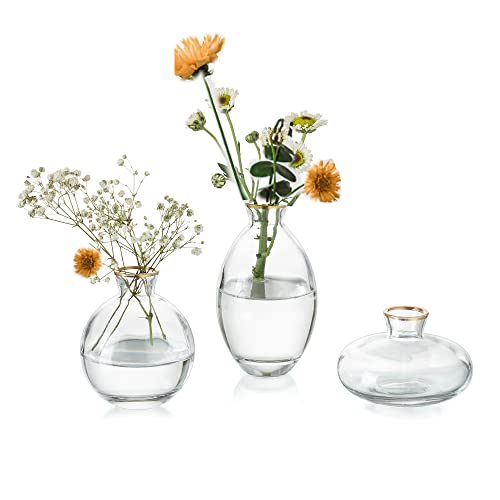 Kleine Vasen füR Tischdeko Glas - EylKoi 3 Stück/Satz Transparent mit Goldrand Mini Vase Vintage Handmade Hydroponic Glasvase Blumenvase Modern Set Hochzeit Tischdeko, Zuhause Wohnzimmer Blumen Rose von EylKoi