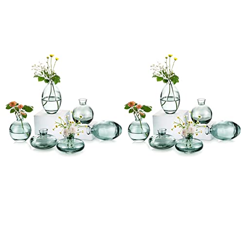 EylKoi Kleine Vasen füR Tischdeko Glas 4 Sätze(12 Stück) Grün Mini Vase Vintage Handmade Hydroponic Glasvase Blumenvase Modern Set Fuer Hochzeit Tischdeko, Zuhause Wohnzimmer Blumen Rose von EylKoi