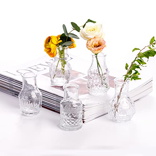 EylKoi Vasen Hochzeit Tischdeko Vintage Vasen 5er Klar, Kleine Vasen füR Tischdeko Mini Vasen Glasvasen, Glasvase Vintage Set Glasvasen Vintage Mini Vasen Glasvasen füR Hochzeit Tischdeko, Zuhause von EylKoi