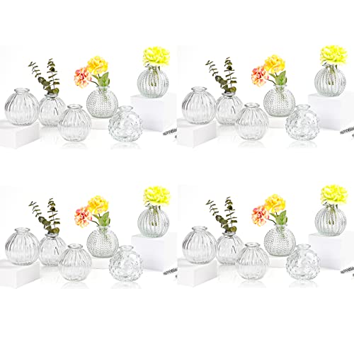 EylKoi Vasen Klein Glas Set - 24 Teile Klar Verschiedene Formen für Hochzeit, Tischdeko, Zuhause, Veranstaltungen - 5#x4 von EylKoi