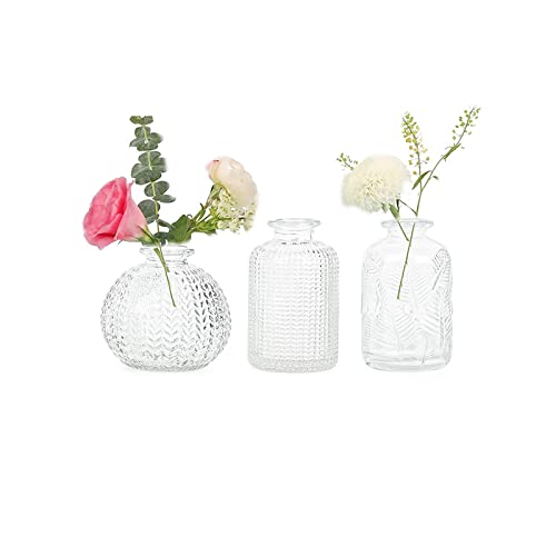 Vasen Klein Glas EylKoi - Vasen Klein Tischdeko 3 Teile/Satz Klar Verschiedene Formen, Vasen Hochzeit, Tischdeko Mini Kleine Vasen Für Tischdeko Kleine Vasen Für Zuhause, Veranstaltungen Tisch, 2# von EylKoi