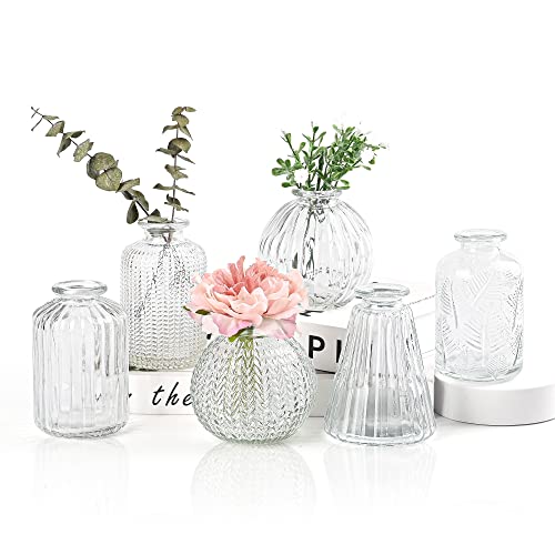 Vasen Klein Glas EylKoi - Vasen Klein Tischdeko 6 Teile/Satz Klar Verschiedene Formen, Vasen Hochzeit, Tischdeko Mini Kleine Für Tischdeko Kleine Vasen Für Zuhause, Veranstaltungen Tisch, 1# + 2# von EylKoi