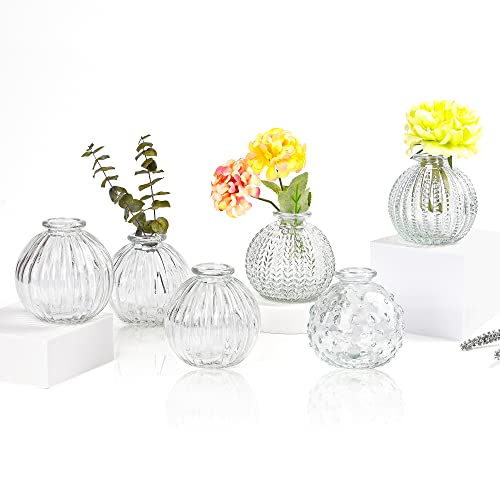 Vasen Klein Glas EylKoi - Vasen Klein Tischdeko 6 Teile/Satz Klar Verschiedene Formen, Vasen Hochzeit, Tischdeko Mini Kleine Vasen Für Tischdeko Kleine Vasen Für Zuhause, Veranstaltungen Tisch, 5# von EylKoi