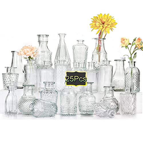 Kleine Vasen Set 25st EylKoi - Kleine Vasen für Tischdeko, Vase Vintage Glas, Glasvasen für Tischdeko Klare Minivasen Set Vase Vintage Eine Blume für Rustikale Hochzeits Dekorationen,zuhause von EylKoi