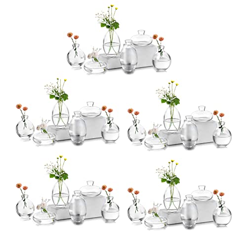 Kleine Vasen füR Tischdeko Glas - EylKoi 10 Sätze(30 Stück) Transparent Mini Vase Vintage Handmade Hydroponic Glasvase Blumenvase Modern Set Fuer Hochzeit Tischdeko, Zuhause Wohnzimmer Blumen Rose von EylKoi